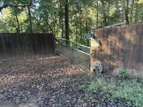 36000 Nash Mill Rd, Philo, CA 95466 photo 12