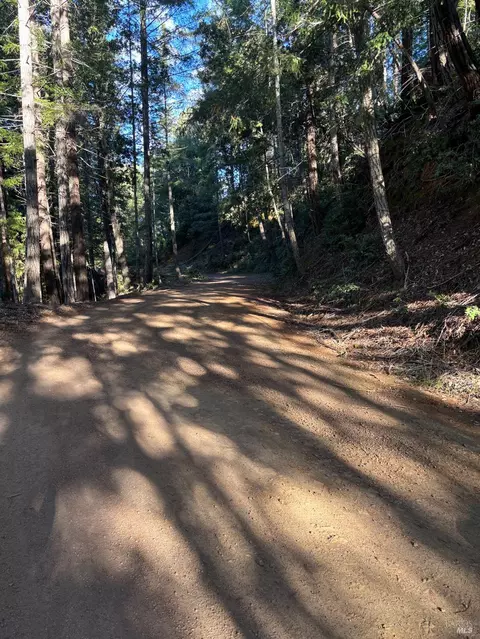 36000 Nash Mill Rd, Philo, CA 95466 photo 40