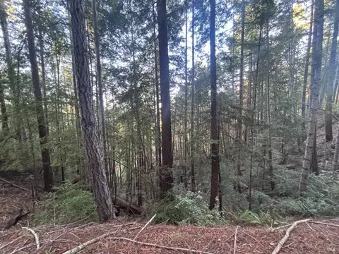 36000 Nash Mill Rd, Philo, CA 95466 photo 30