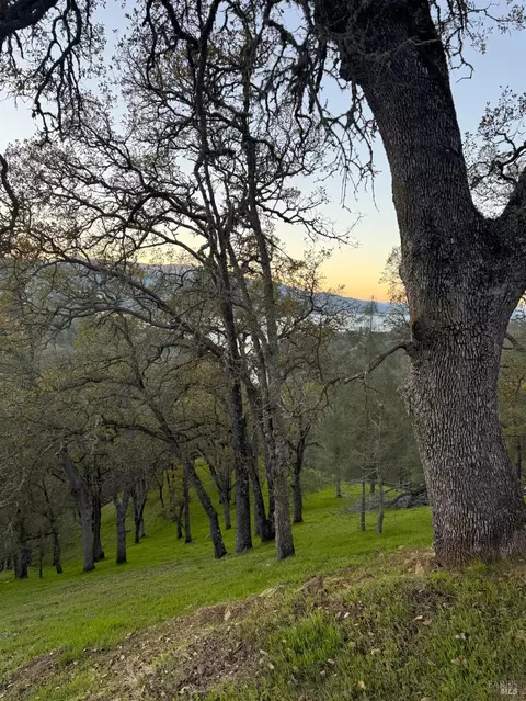 1135 Steele Canyon Rd, Napa, CA 94558