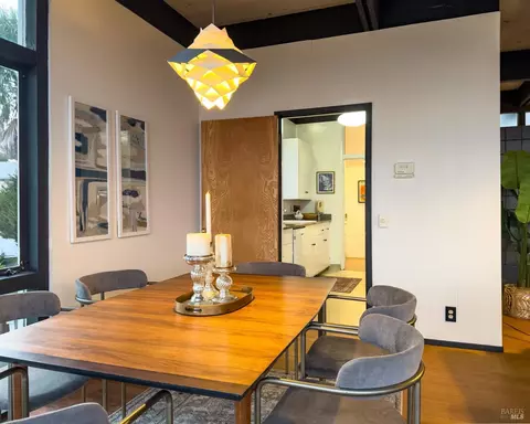 213 Cleveland Ct, Mill Valley, CA 94941 photo 30