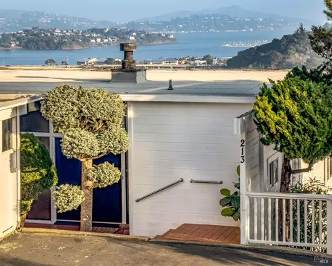 213 Cleveland Ct, Mill Valley, CA 94941 photo 7