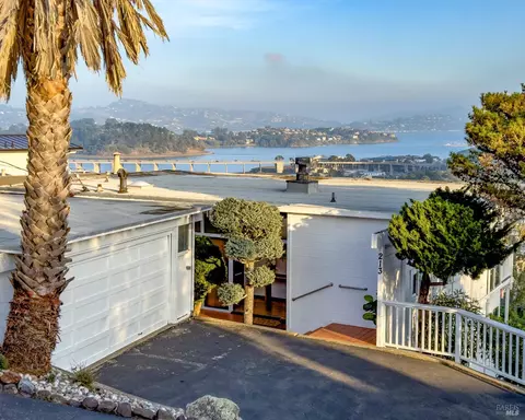 213 Cleveland Ct, Mill Valley, CA 94941 photo 6