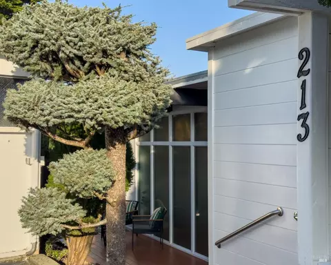 213 Cleveland Ct, Mill Valley, CA 94941 photo 22