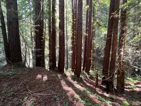 Other - 1355 Nicasio Valley Rd, Nicasio, CA 94946 photo 3 of 12