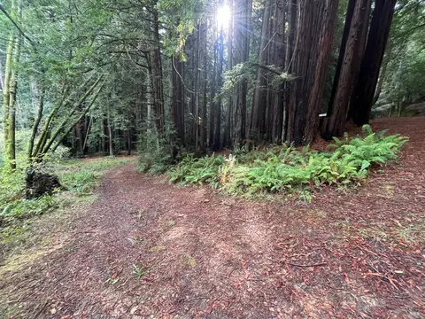 Other - 1355 Nicasio Valley Rd, Nicasio, CA 94946 photo 4 of 12