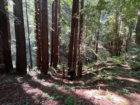 Other - 1355 Nicasio Valley Rd, Nicasio, CA 94946 photo 2 of 12