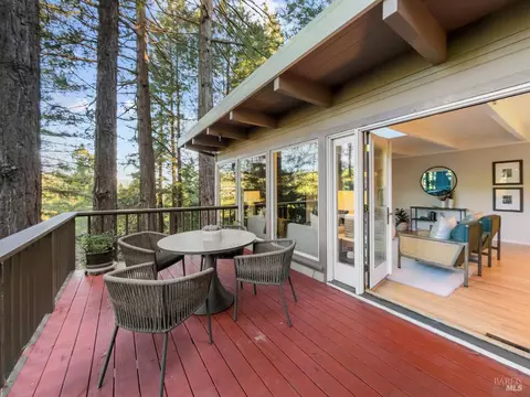 300 Hazel Ave, Mill Valley, CA 94941 photo 35