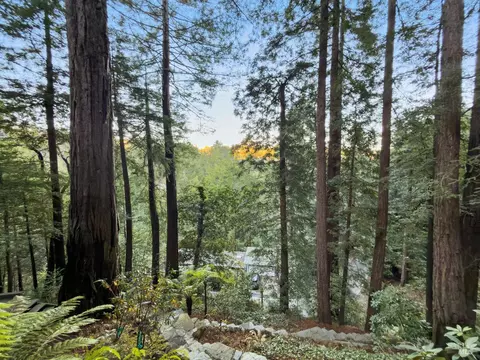 300 Hazel Ave, Mill Valley, CA 94941 photo 44