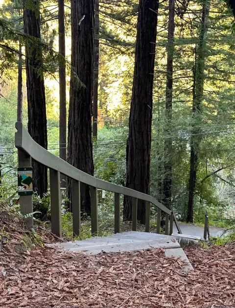 300 Hazel Ave, Mill Valley, CA 94941 photo 50
