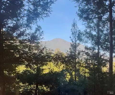 300 Hazel Ave, Mill Valley, CA 94941 photo 47