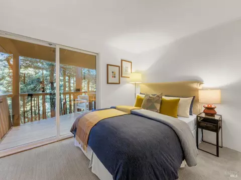 300 Hazel Ave, Mill Valley, CA 94941 photo 28