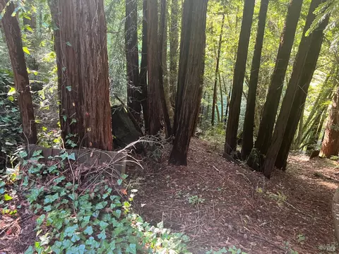 21866 Monte Vista Ter, Monte Rio, CA 95462