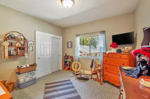 Bedroom - 14375 Occidental Rd, Sebastopol, CA 95472 photo 3 of 7