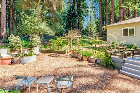 Exterior - 14375 Occidental Rd, Sebastopol, CA 95472 photo 18 of 29