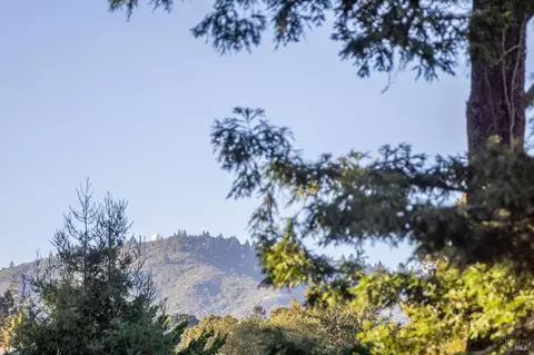 Other - 23 Monte Cimas Ave, Mill Valley, CA 94941 photo 4 of 10