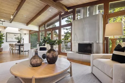Living - 23 Monte Cimas Ave, Mill Valley, CA 94941 photo 7 of 10