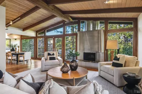 Living - 23 Monte Cimas Ave, Mill Valley, CA 94941 photo 5 of 10