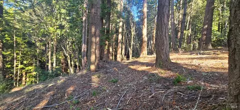 22107 Ruoff Rd, Timber Cove, CA 95450 photo 5