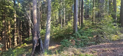 22107 Ruoff Rd, Timber Cove, CA 95450 photo 3
