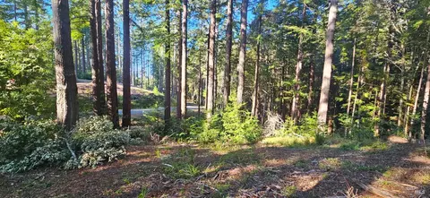 22107 Ruoff Rd, Timber Cove, CA 95450 photo 2