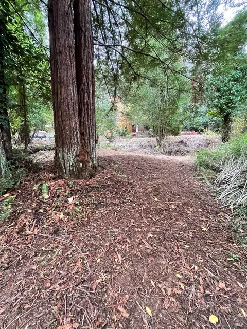 136 Lagunitas Rd, Lagunitas, CA 94938