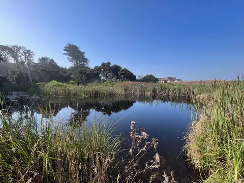 17290 Ocean Dr, Fort Bragg, CA 95437