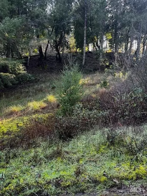 24583 Cypress Dr, Willits, CA 95490 photo 2