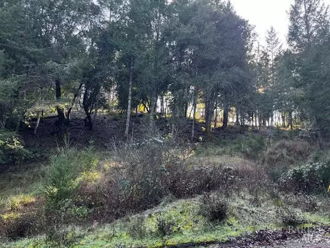 24583 Cypress Dr, Willits, CA 95490