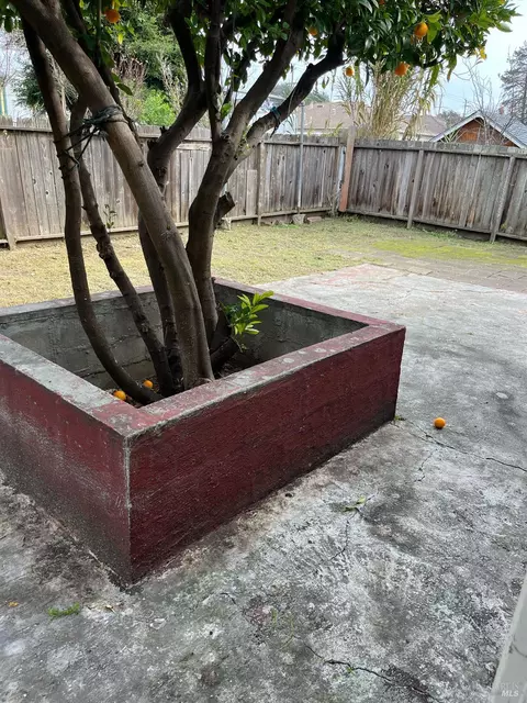 Exterior - 242 Phelan Ave, Vallejo, CA 94590 photo 6 of 6
