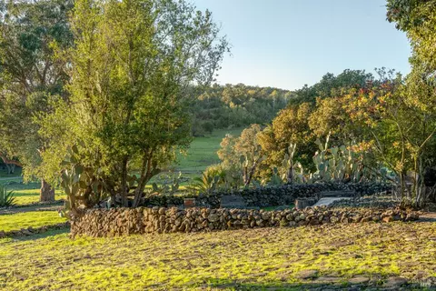 Exterior - 5100 Lovall Valley Rd, Sonoma, CA 95476 photo 20 of 23