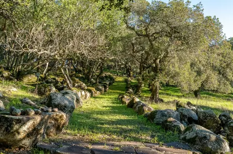 Exterior - 5100 Lovall Valley Rd, Sonoma, CA 95476 photo 17 of 23