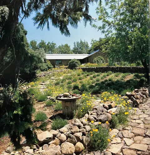 Exterior - 5100 Lovall Valley Rd, Sonoma, CA 95476 photo 4 of 23