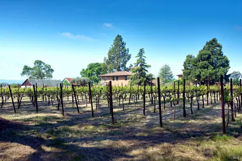 21000 8th St E, Sonoma, CA 95476 photo 84