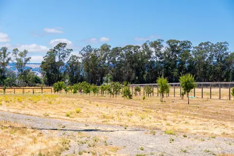 20780 8th St E, Sonoma, CA 95476 photo 25