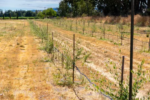 20780 8th St E, Sonoma, CA 95476 photo 30