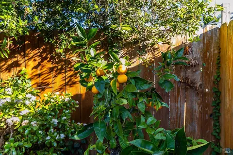 Exterior - 112 Palomar Ln, Vallejo, CA 94591 photo 15 of 21