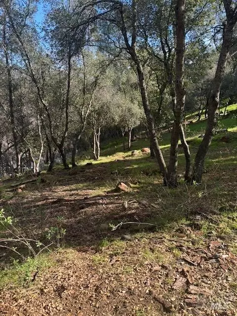 214 Colt Ct, Pope Valley, CA 94567