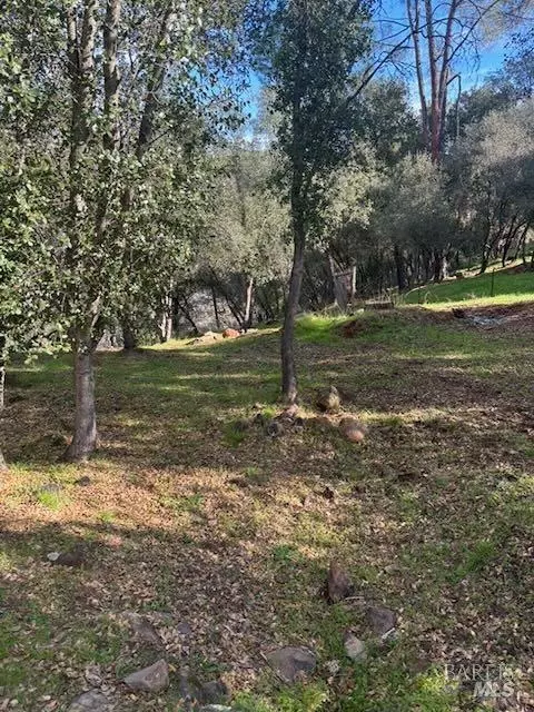 214 Colt Ct, Pope Valley, CA 94567