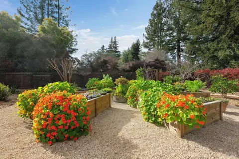 1222 Apple Tree Ct, Sonoma, CA 95476 photo 40