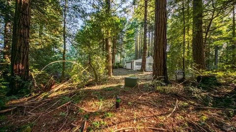 17470 Willow Creek Rd, Occidental, CA 95465 photo 16