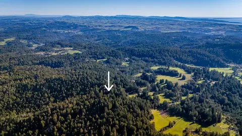 17470 Willow Creek Rd, Occidental, CA 95465 photo 4