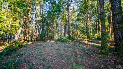 17470 Willow Creek Rd, Occidental, CA 95465 photo 24