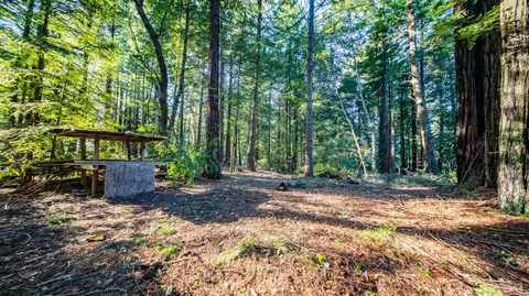 17470 Willow Creek Rd, Occidental, CA 95465 photo 19