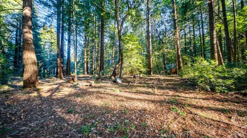 17470 Willow Creek Rd, Occidental, CA 95465 photo 22