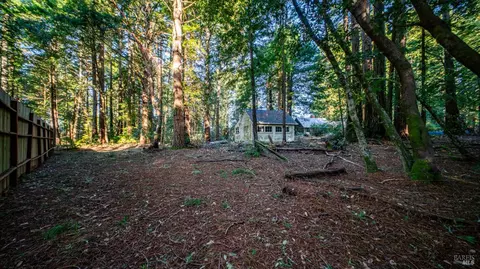 17470 Willow Creek Rd, Occidental, CA 95465 photo 9