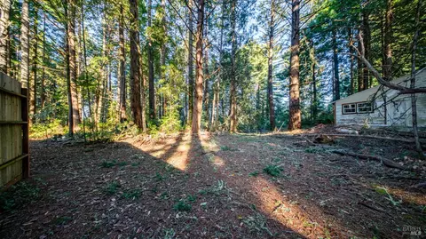 17470 Willow Creek Rd, Occidental, CA 95465 photo 11