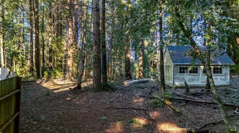 17470 Willow Creek Rd, Occidental, CA 95465 photo 10