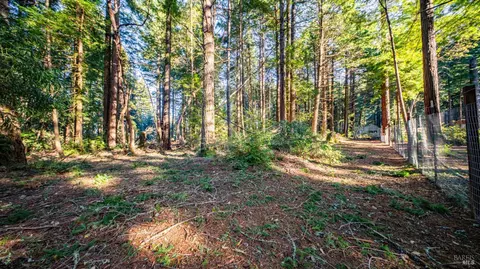 17470 Willow Creek Rd, Occidental, CA 95465 photo 25