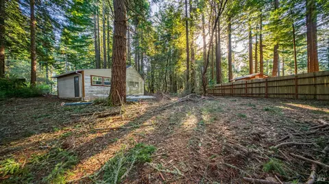 17470 Willow Creek Rd, Occidental, CA 95465 photo 14